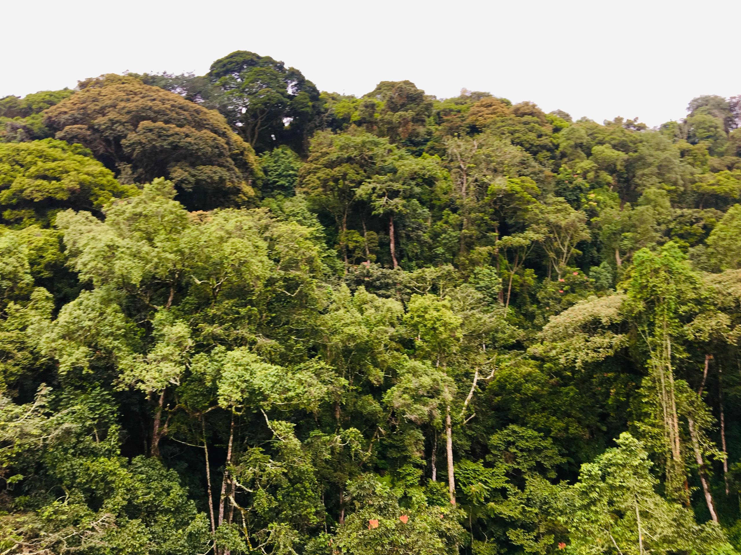 December - Uluru, Australia